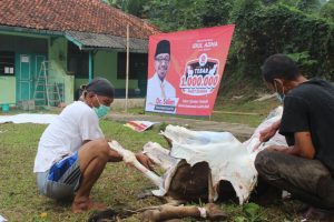 PKS Banten Bagikan 80.225 Paket Daging Kurban